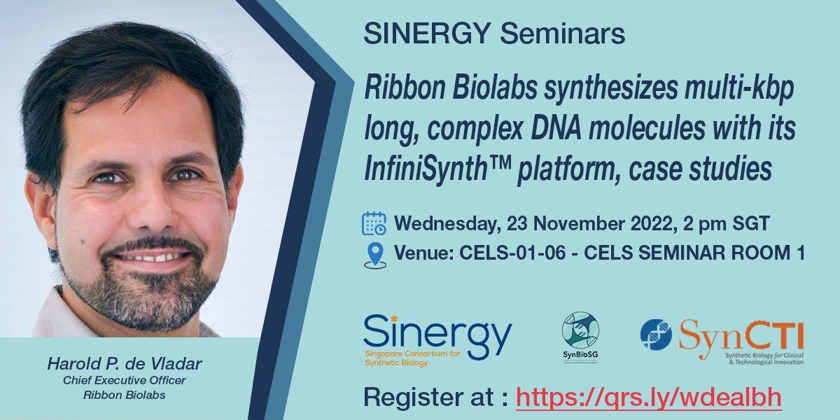 Ribbon Biolabs Synthesizes Multi kbp Long Complex DNA Molecules With 